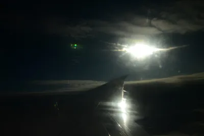 DSC_9806 (Large).JPG